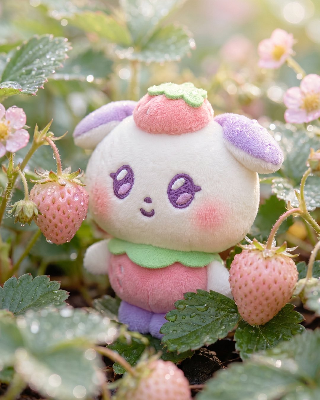 LINE FRIENDS x ATEEZ] MIGHTEEZ WONDER ROOM POP-UP MERCHANDISE