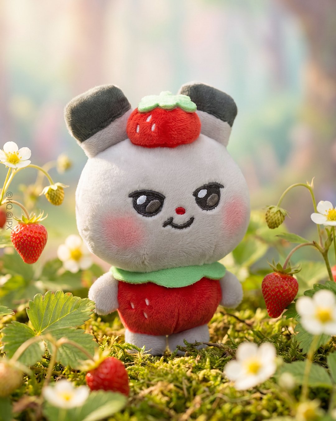 LINE FRIENDS x ATEEZ] MIGHTEEZ WONDER ROOM POP-UP MERCHANDISE