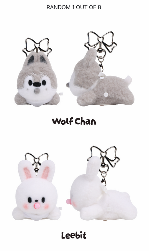 [08/05 FANSSHOP × STRAY KIDS] SKZOO SECRET WIND-UP PLUSH  (PRE-ORDER)