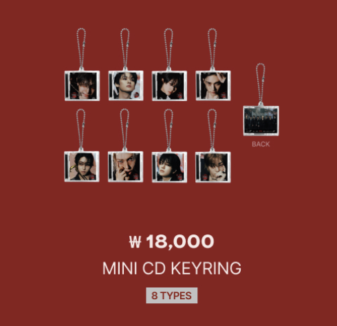 mini_cd_keyring.png?v=